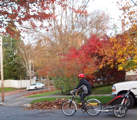 Cruising Around Town