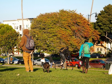 Bicycles in Dolores Park!